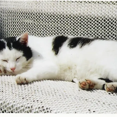 アパート Kanuhof *