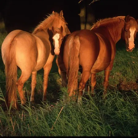 アパート Kanuhof Freest