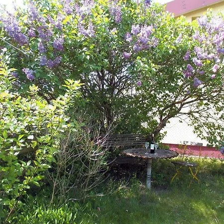 アパート Kanuhof *